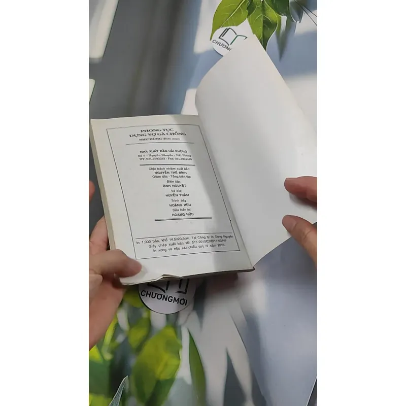 Phong Tục Dựng Vợ Gả Chồng - Như Hùng 776135