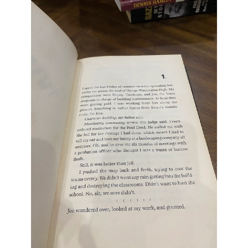 Twisted - Laure Halse Anderson 506860