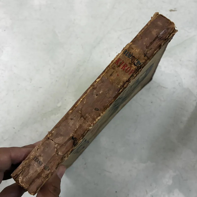 Tuổi trẻ Kirop (có ẩm) 1024584