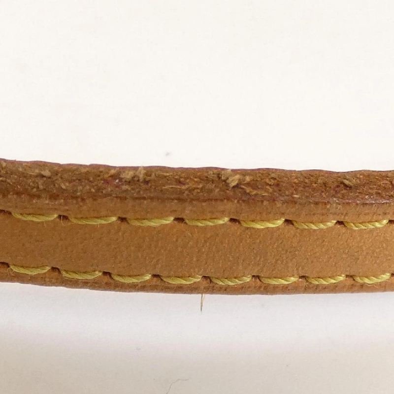 Túi Louis Vuitton Monogram Papillon 30cm M51385 618614