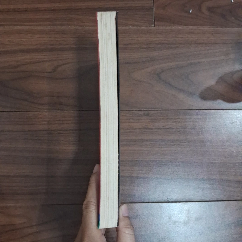 Cô ấy không còn điên nữa 508048
