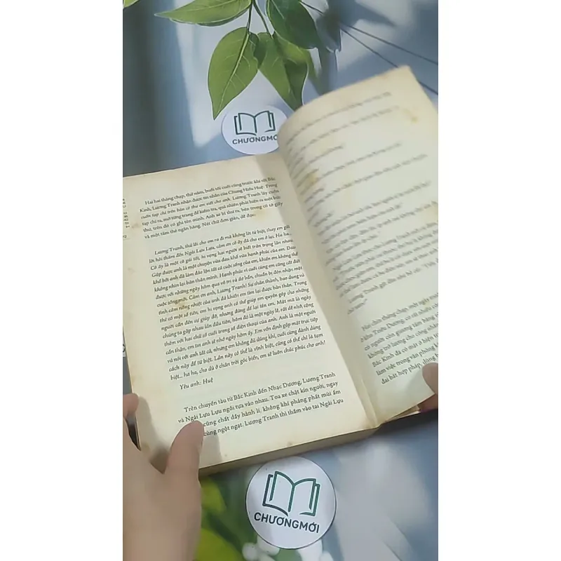 Trai thừa gái ế - Tưởng Cẩn 688606