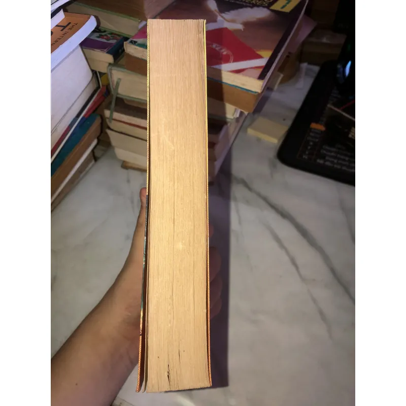 Tây Âu Trong Tiến Trình Phát Triển Kinh Tế-ULRIKE HERMANN 932824