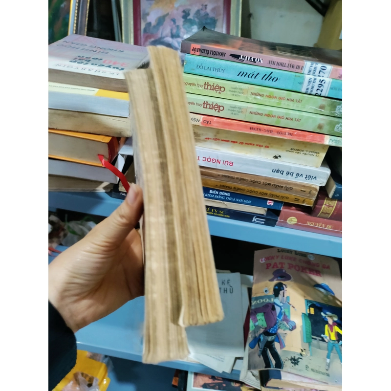 Truyền kì mạn lục 455613