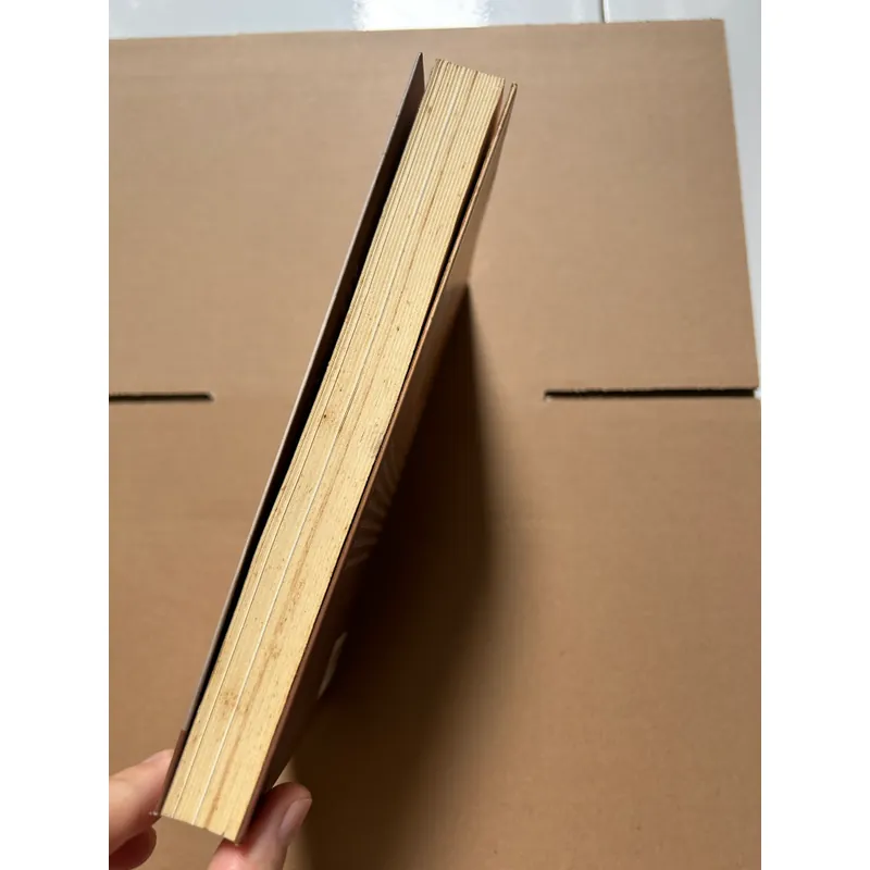 Đi qua thời gian - PHẠM PHƯƠNG THẢO 675104