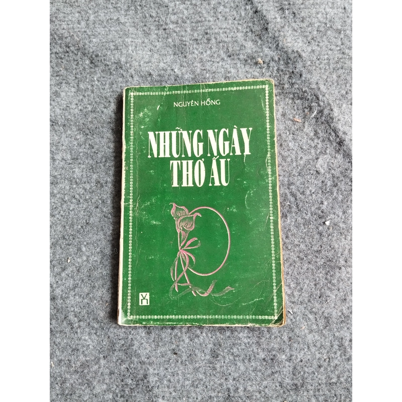 NHỮNG NGÀY THƠ ẤU - NGUYÊN HỒNG 478551