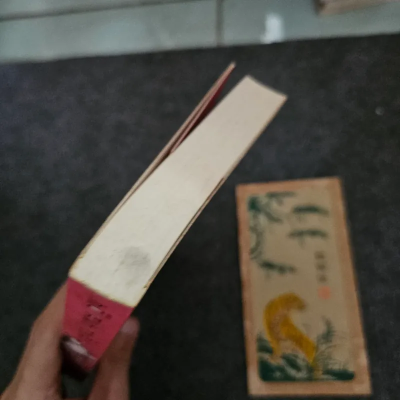 SBC - hồ anh thái 736991