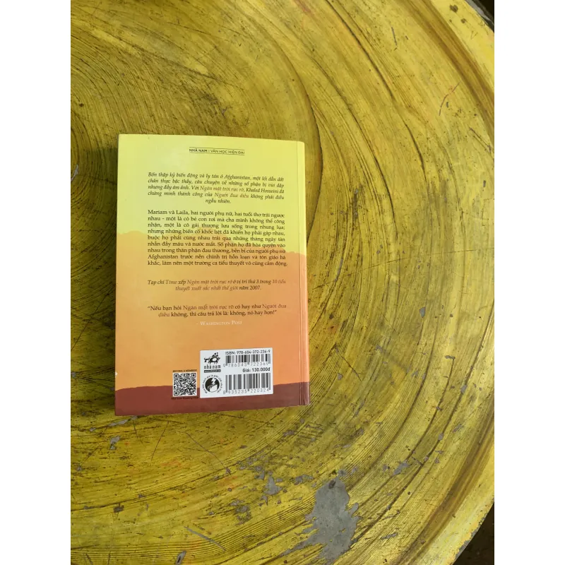 COMBO NGƯỜI ĐUA DIỀU & NGÀN MẶT TRỜI RỰC RỠ 745813