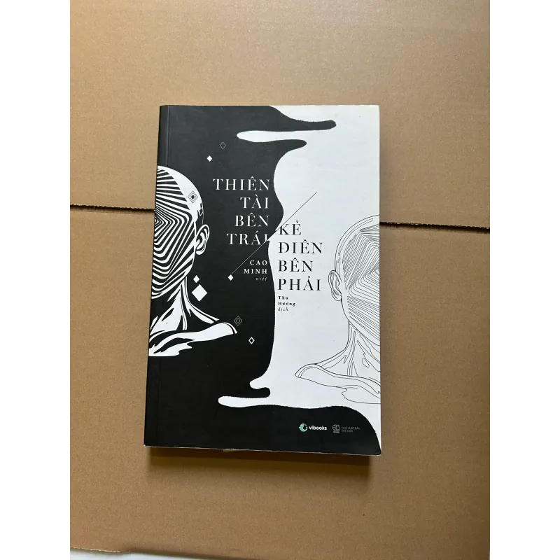 Thiên tài bên trái, kẻ điên bên phải - Cao Minh 751790