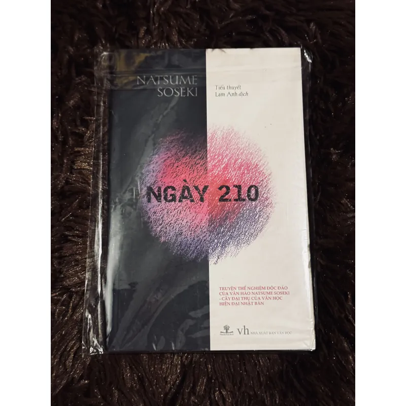 Ngày 210 - Natsume Soseki 711935