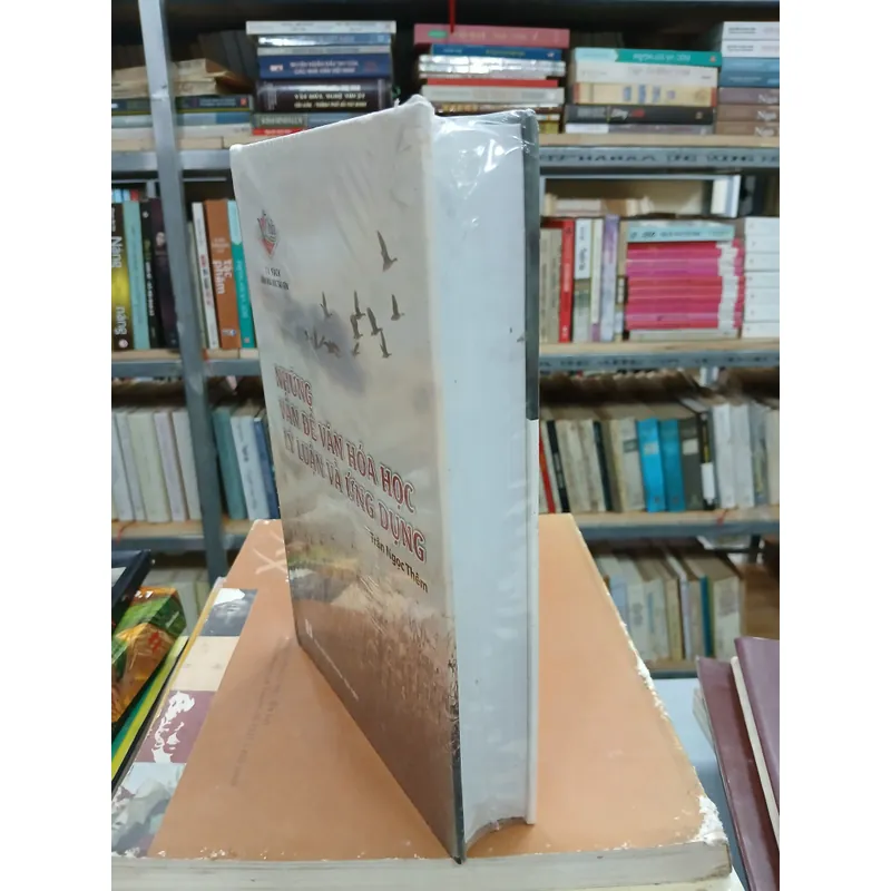 NHỮNG VẤN ĐỀ VĂN HÓA HỌC LÝ LUẬN VÀ ỨNG DỤNG - TRẦN NGỌC THÊM 719751