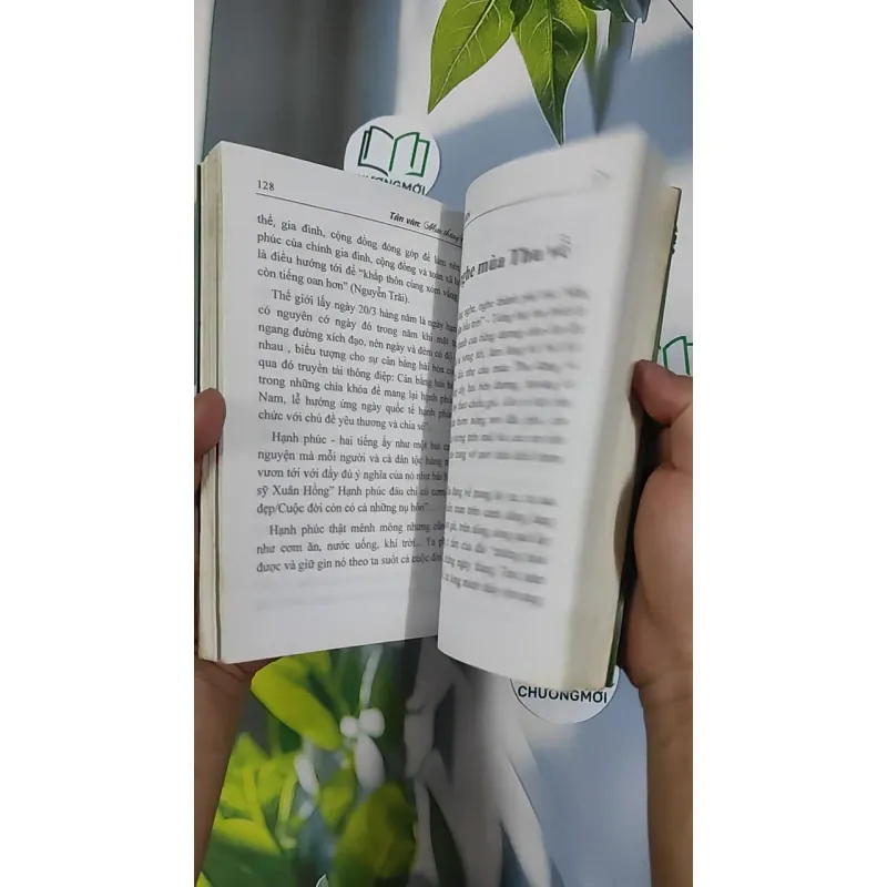 Mưa tháng giêng - Vũ Hoàng Luyến 798421