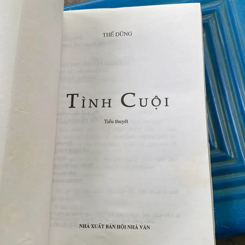 TÌNH CUỘI, tiểu thuyết của Nhà văn Thế Dũng (XB 2006) 558657