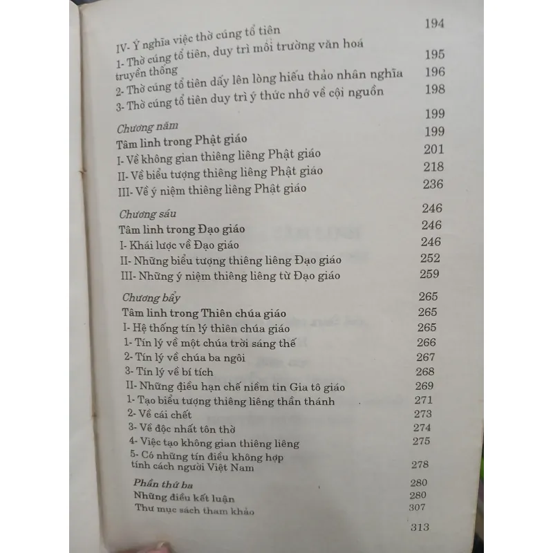 VĂN HÓA TÂM LINH - NGUYỄN ĐĂNG DUY 736486