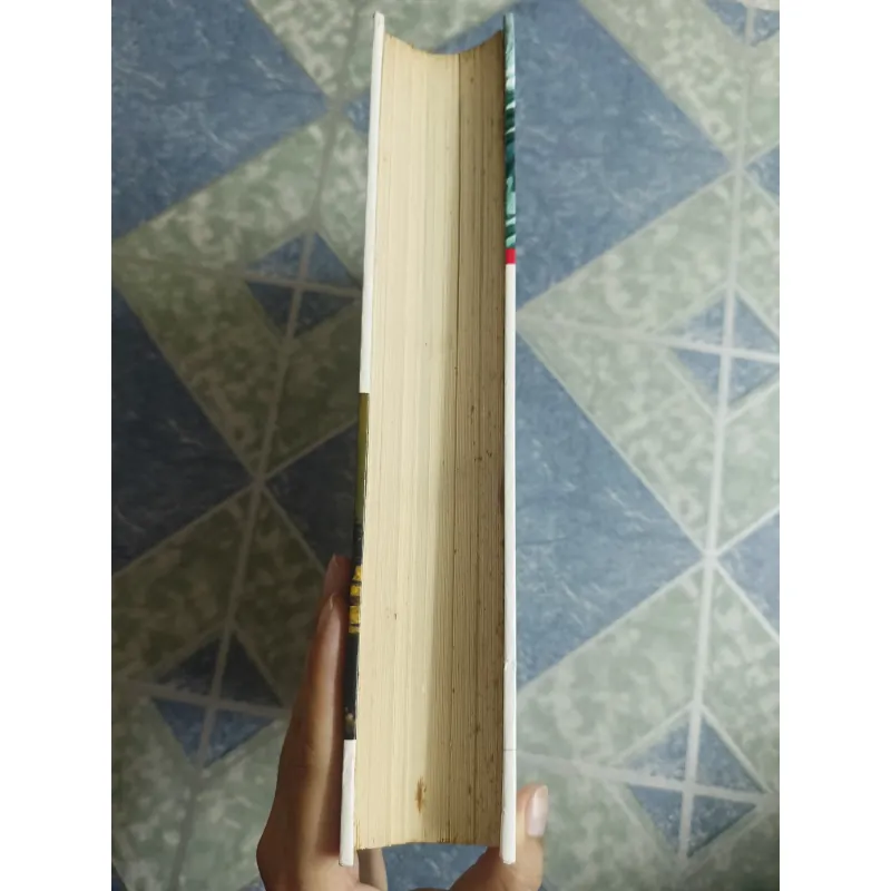 Lịch sử Hoa Kỳ những vấn đề quá khứ - Irwin Unger 564826