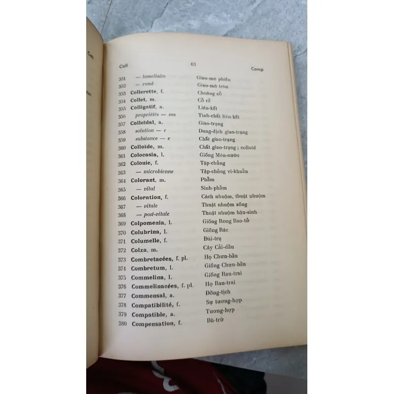 DANH TỪ THỰC VẬT PHÁP VIỆT 749478