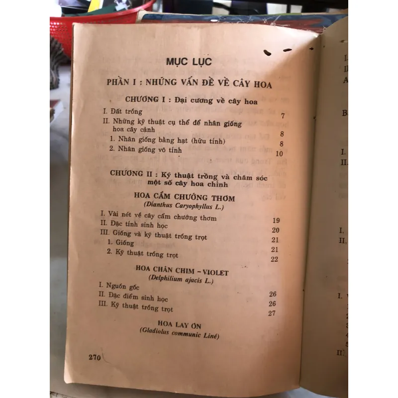 Trồng hoa cây cảnh trong gia đình - Nguyễn Huy Trí - Đoàn Văn Lư 1001807