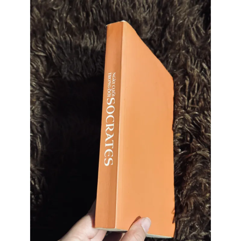 Ngày cuối trong đời Socrates (mất áo) 778875