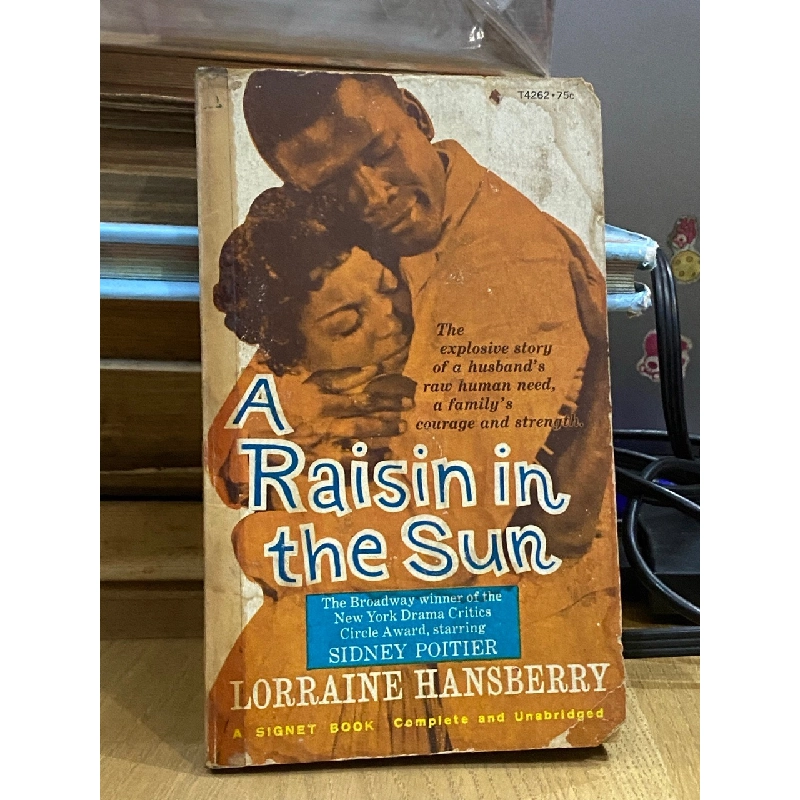 A Raisin in the Sun - Lorraine Hansberry 528009