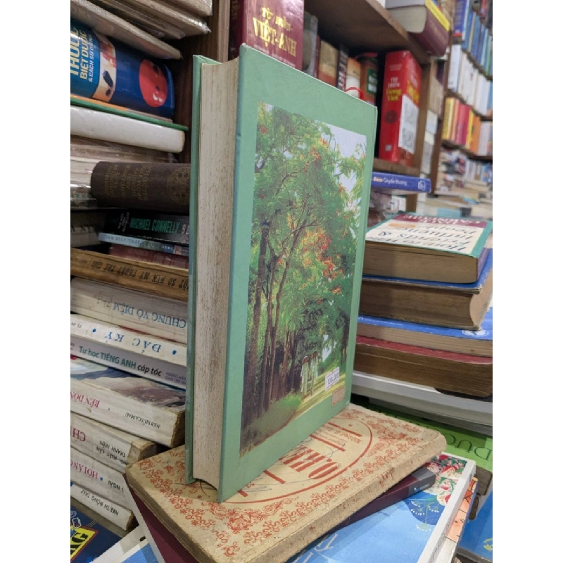 Học sinh Miền Nam ngày ấy, hôm nay 975049