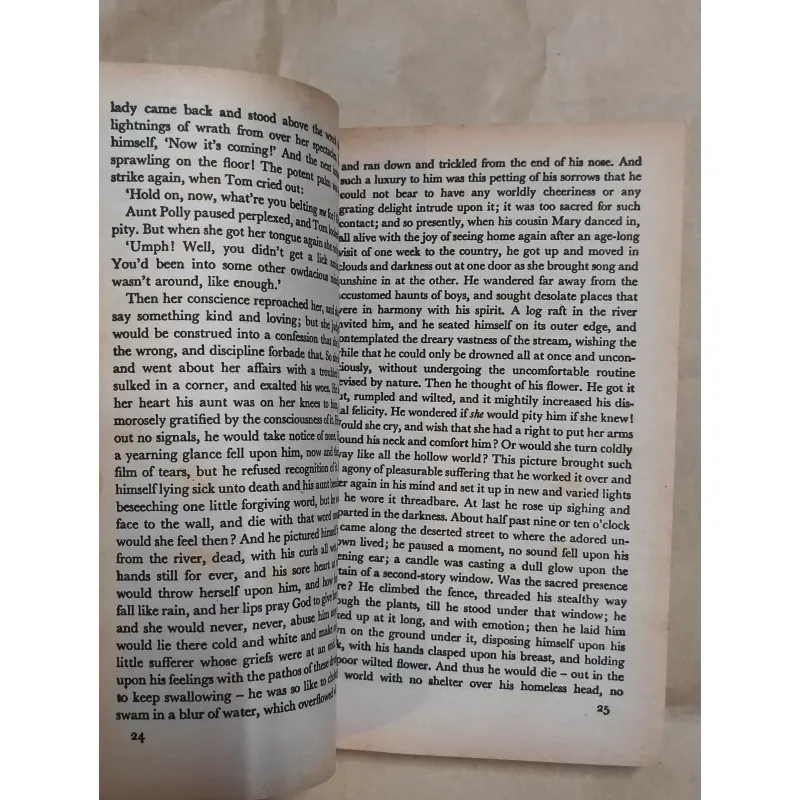 The Adventures of Tom Sawyer (Penguin Popular Classics) - Mark Twain 1004696