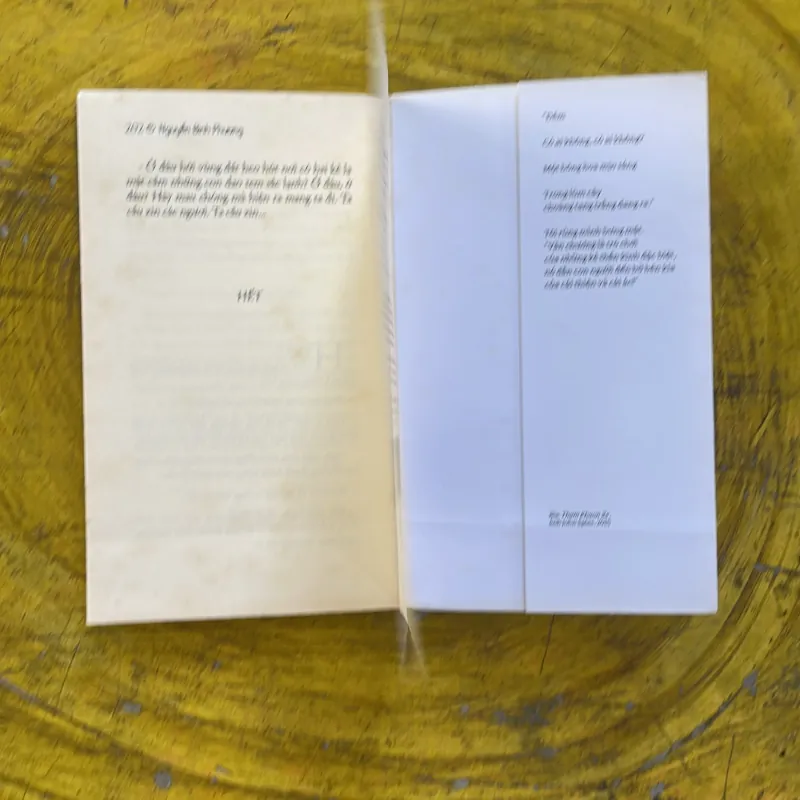 VÀO CÕI - NGUYỄN BÌNH PHƯƠNG 1002510