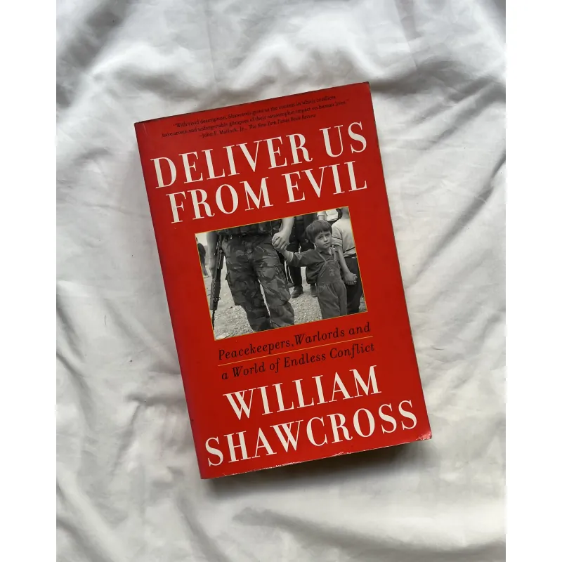 Deliver Us from Evil: Peacekeepers, Warlords and a World of Endless Conflict 793000