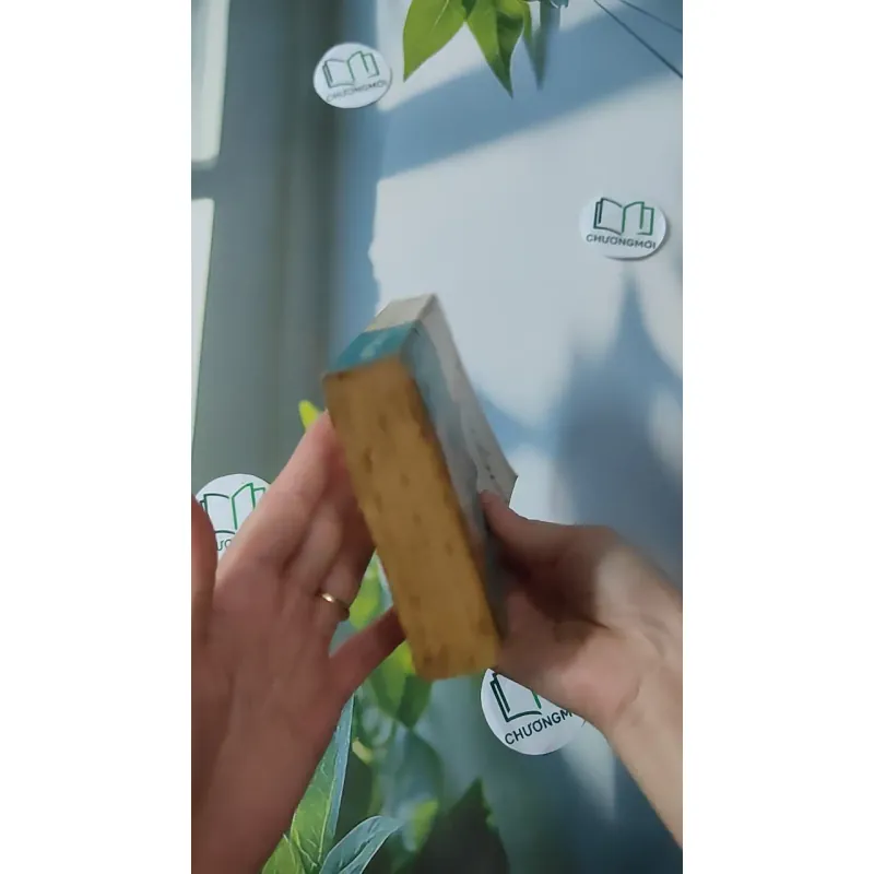 Showdown - Tilly Bagshawe 1027176