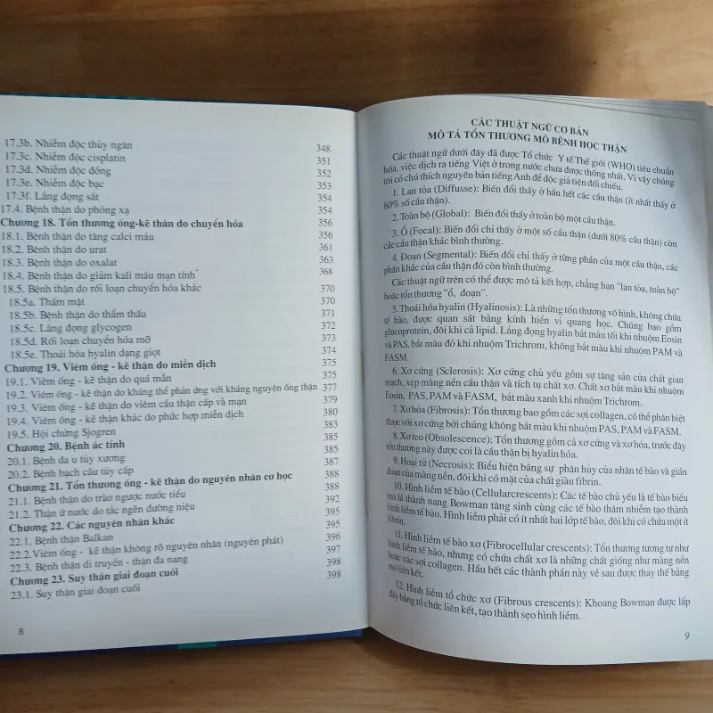 Atlast Mô Bệnh Học Các Bệnh Cầu Thận & Bệnh Ống - Kẽ Thận 799329