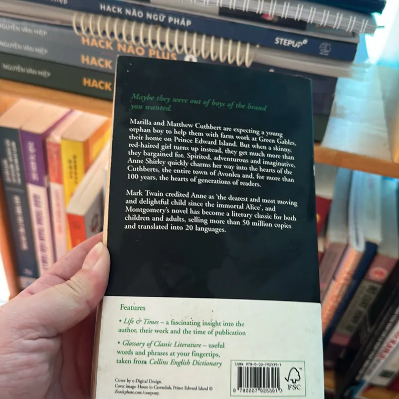 Anne of green gables 602410