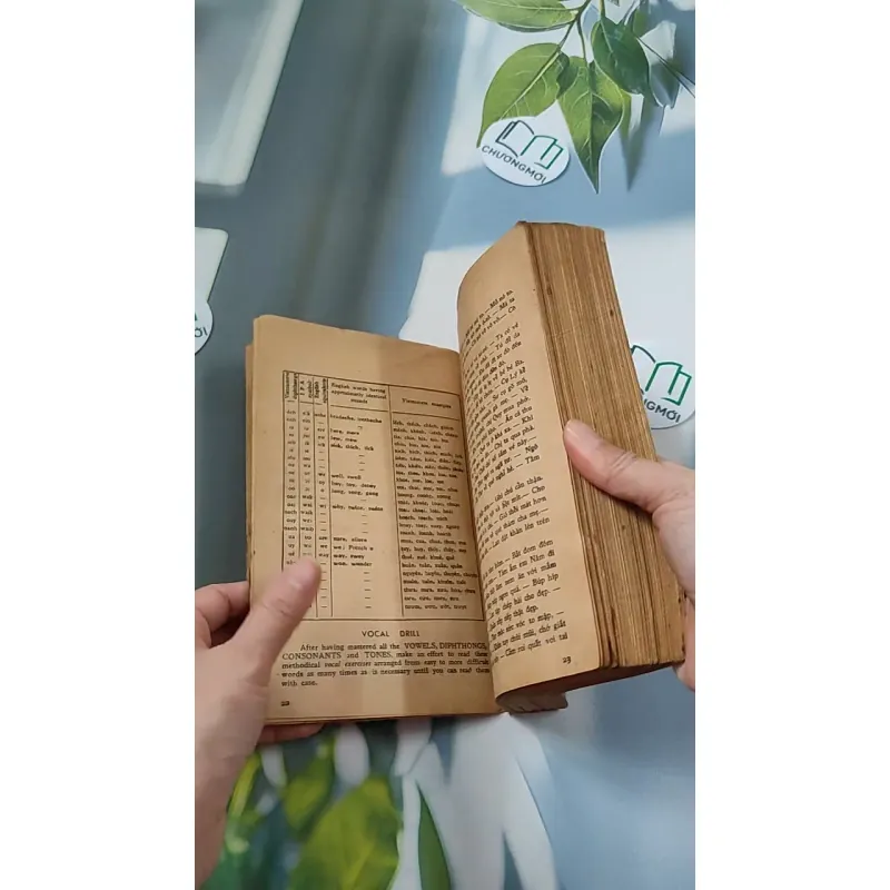 [MIỄN PHÍ BỌC SÁCH] [XƯA] Tự Điển Anh-Việt Tiêu Chuẩn (1968) - Lê Bá Khanh Lê Bá Kông 776076