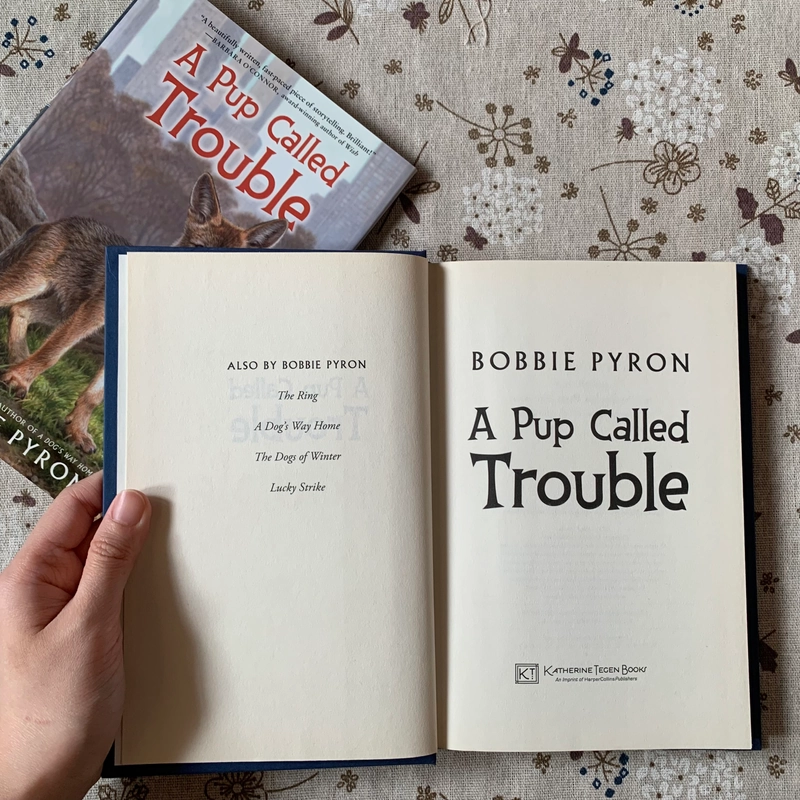 Sách ngoại văn A Pup Called Trouble, Used, Bìa cứng, Fiction For Young Adult 446629