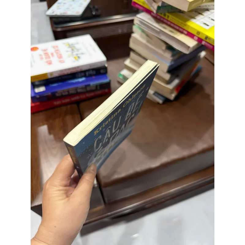 Cậu Bé Bạc – Kristina Ohlsson | Sách thiếu nhi trinh thám kỳ bí hấp dẫn- K2 1000285