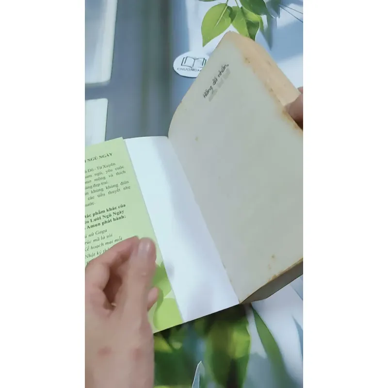 Hàng Đã Nhận, Miễn Trả Lại! - Mèo Lười Ngủ Ngày 744727