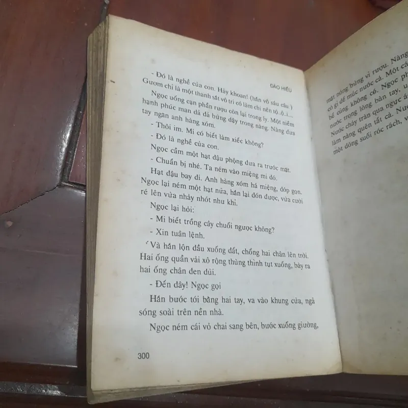 Đào Hiếu - NỔI LOẠN (tiểu thuyết) 602888