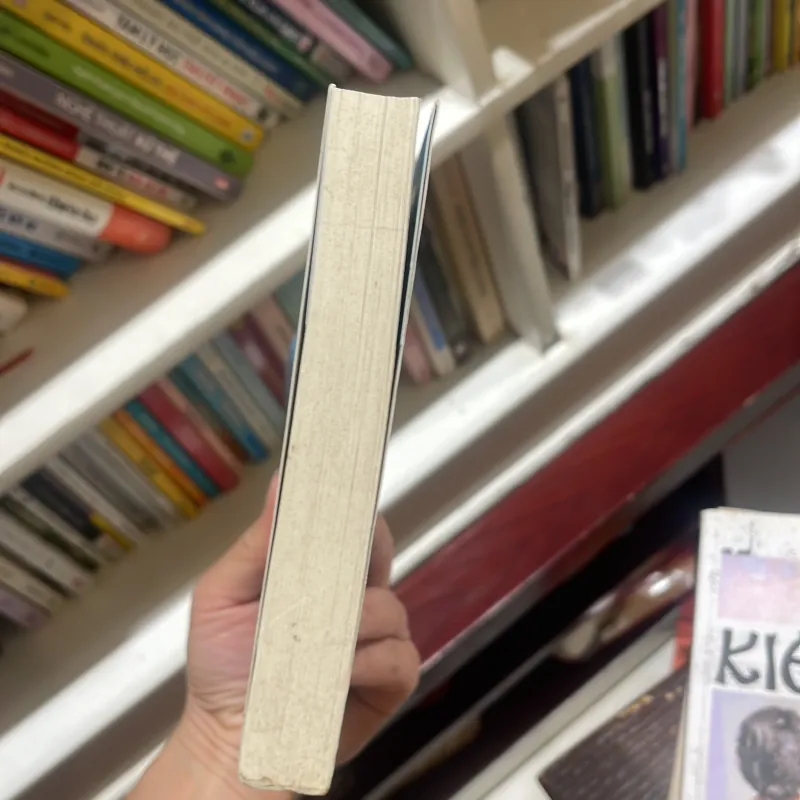 Nếu Em Không phải một giấc mơ - marc levy 2011 1025708