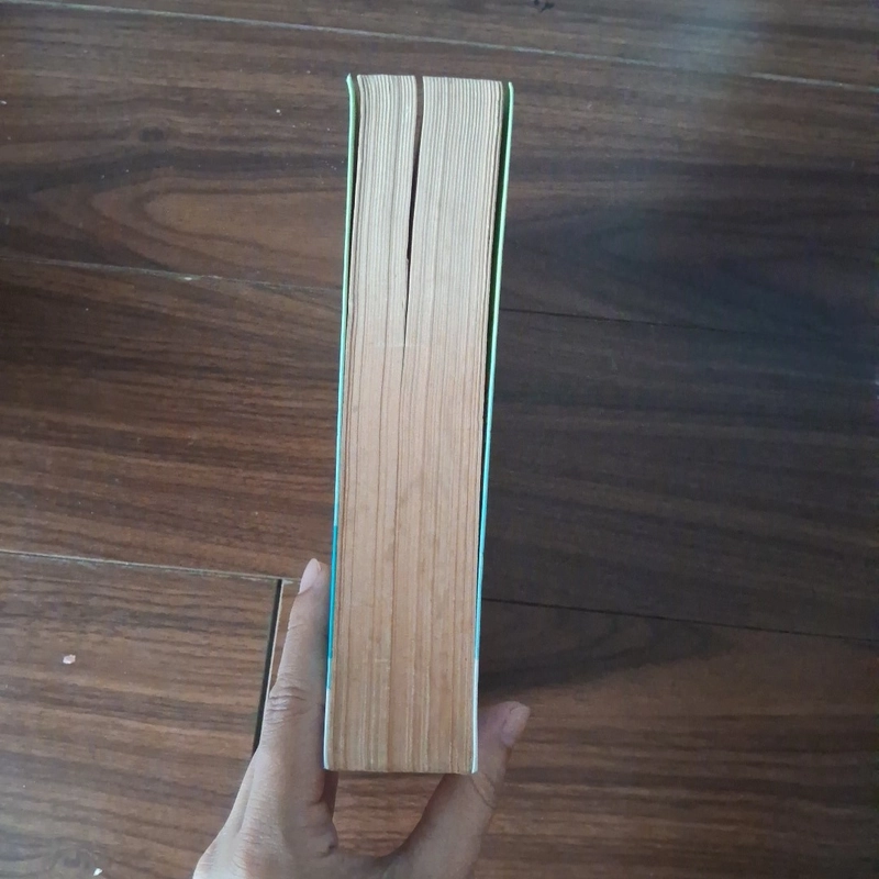 Mối lương duyên trời đánh 510070