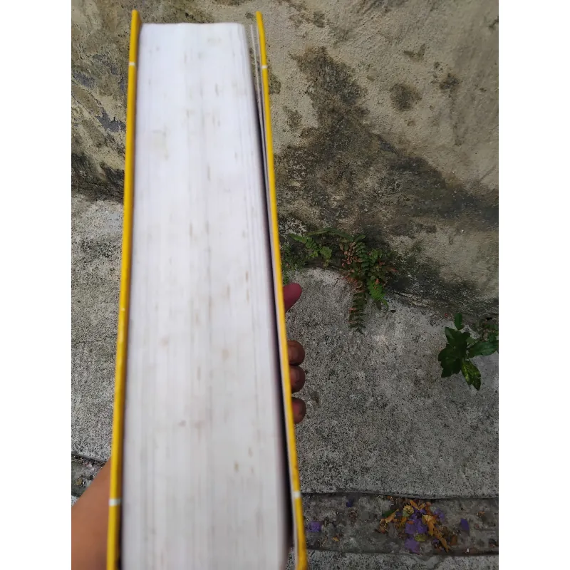 Việt sử cương mục tiết yếu của Đặng Xuân Bảng  1026057