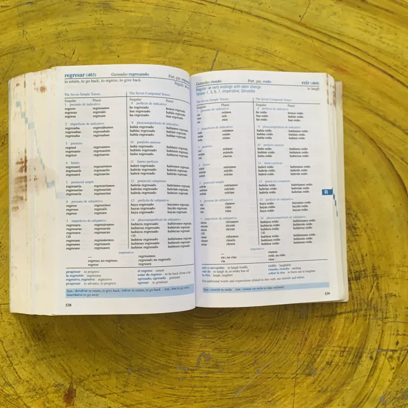 501 SPANISH VERBS - BARRON’S 1029363