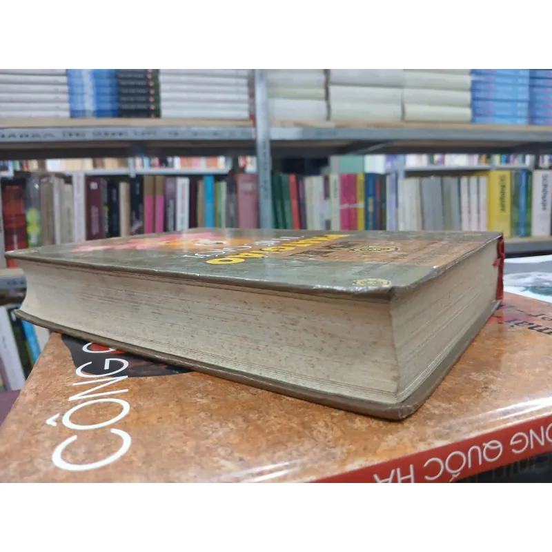 LỊCH SỬ PHẬT GIÁO THẾ GIỚI (BÌA CỨNG) 1025208