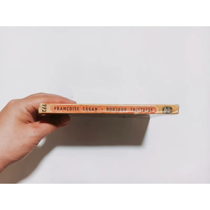 Bonjour Tristesse ( Buồn ơi chào mi) - Francoise Sagan 779976