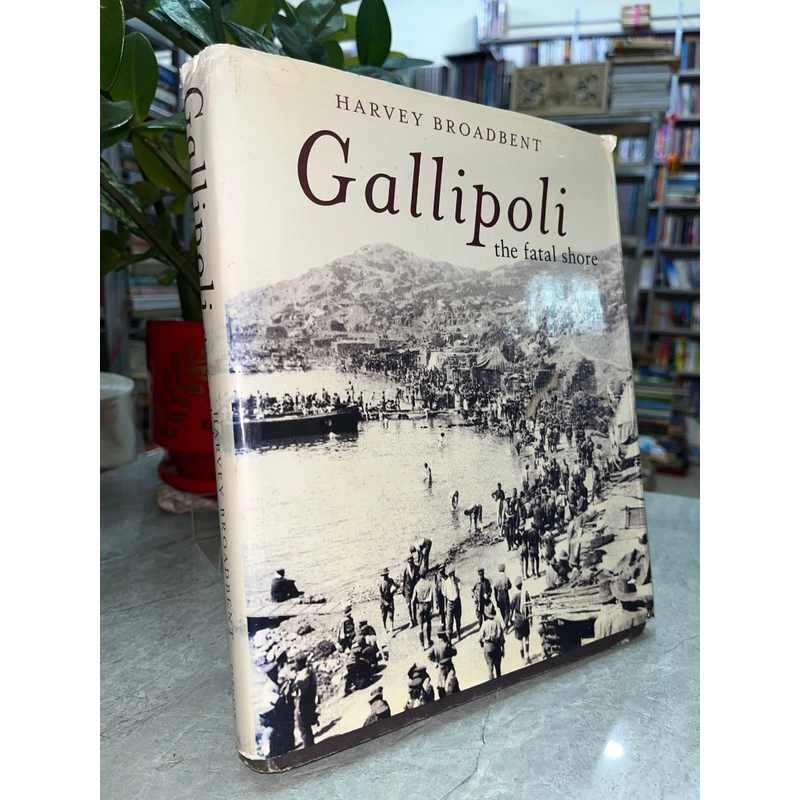 GALLIPOLI THE FATAL SHORE 387296