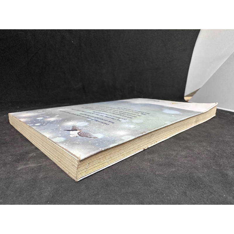 Ngày mai bạn sẽ biết ơn nỗi buồn ngày hôm nay, Nguyễn Vân Anh, 2018, mới 80% (có vết ố) SBM0812 912590