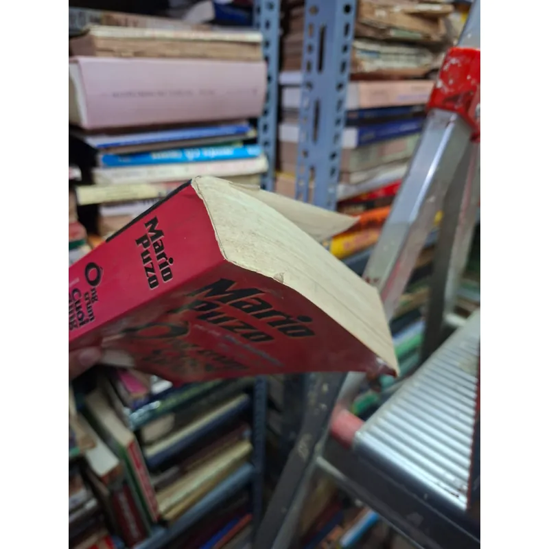 Mario Puro  ông trùm cuối cùng hậu bố già 723386