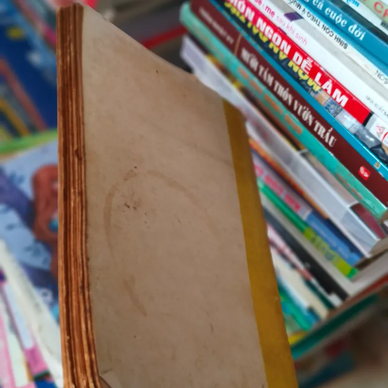 Kể chuyện các vua Nguyễn 🌱 572041