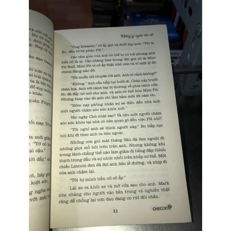 Không gì ngoài rắc rối - Rachel Gibson 975497