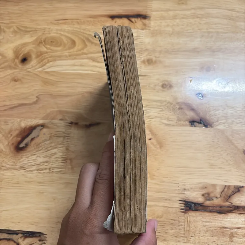 II Sách Xưa: Hãy Để Ngày Ấy Lụi Tàn - GIÊRƠN GOĐƠN - 1982 680695