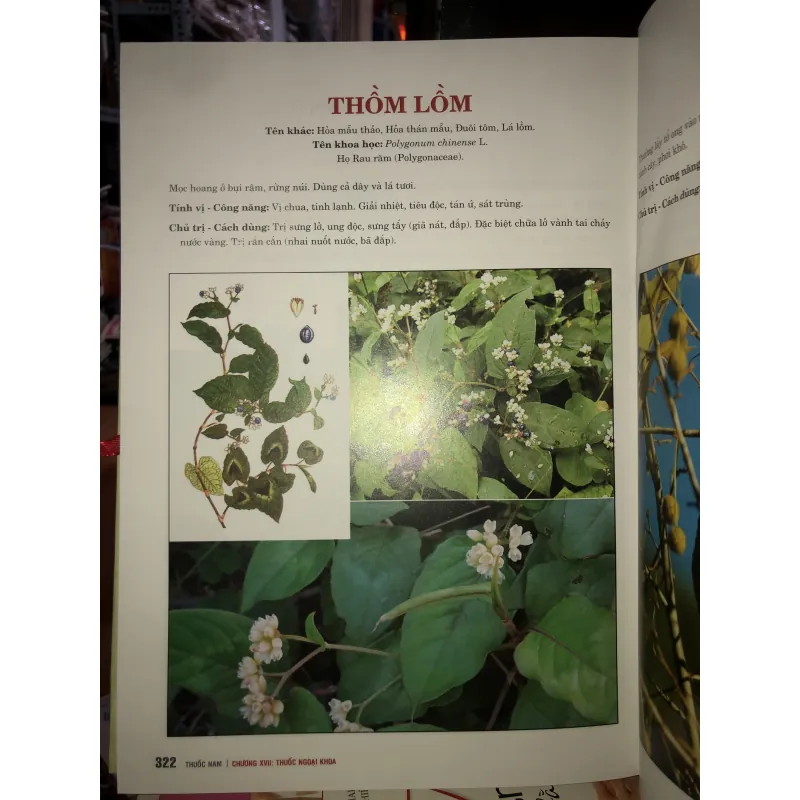 Thuốc Nam - Lương y Nguyễn Công Đức 763835