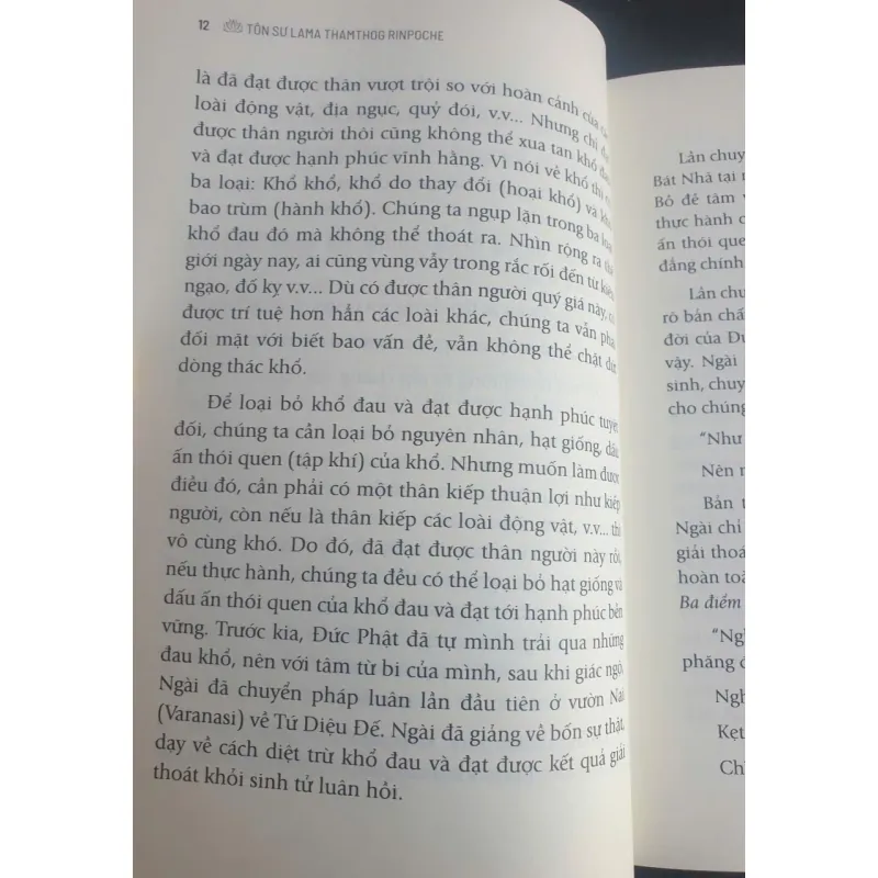 Đạo Lộ - Đường Đến Chân Hạnh Phúc - Tôn Sư Lama Thamthog Rinpoche 736877