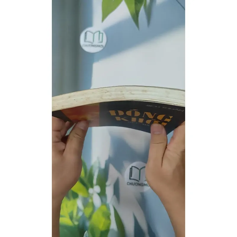 Đồng khởi - Bích Thuận 798375